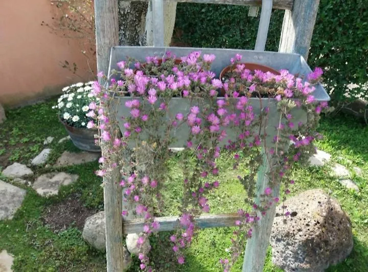 Bed & Breakfast B&B Casa Piras Iun3880 Barumini Italy